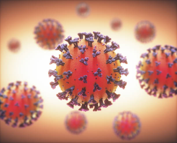 coronavirus 19 - cdc schedule for hepatitis b vaccine